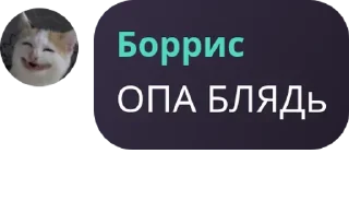 🔒 emoji БОРРИС БЕЗ КОНТЕКСТА Telegram sticker 7 of 95