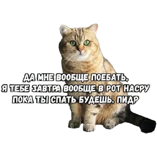 🖕 emoji Больше стикеров в @stikerfox Telegram sticker 18 of 65