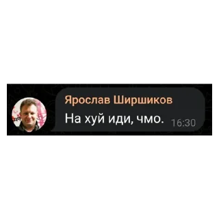 ☝ emoji цитаты ярослава ширшикова без контекста Telegram sticker 14 of 15