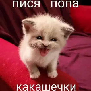 ❤️ emoji Пуки каки какашки Telegram sticker 3 of 7
