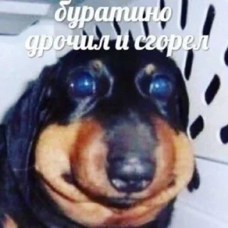 ❤️ emoji Пуки каки какашки Telegram sticker 6 of 7