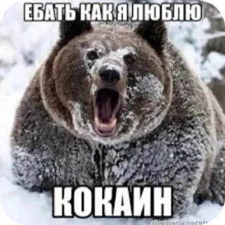 🐶 emoji биля Telegram sticker 8 of 65
