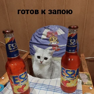 🍻 emoji Ебля удалась Telegram sticker 15 of 20