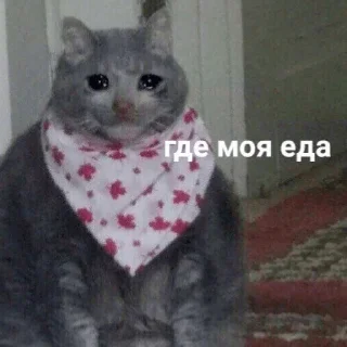 😥 emoji Мемы Мемы Telegram sticker 15 of 29