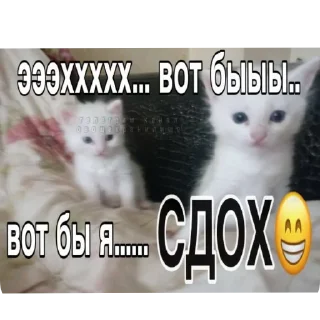 🙂 emoji дай бог терпения и сил 🙏 :: @Jigaaaan Telegram sticker 12 of 120