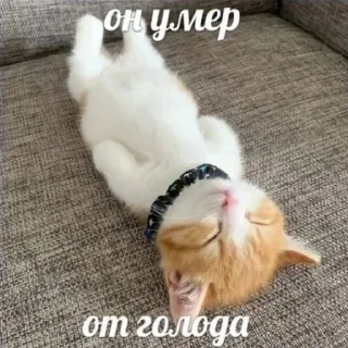 ⚰ emoji Личные мемы Telegram sticker 21 of 39