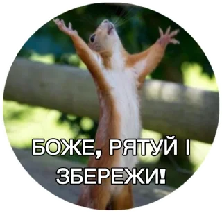 🫣 emoji Friends Telegram sticker 18 of 117