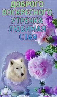 🌸 emoji Дни партийной недели Telegram sticker 6 of 41