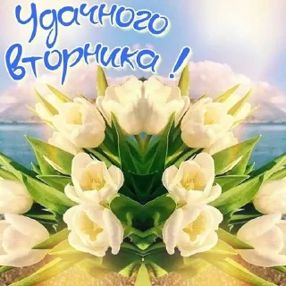 💐 emoji Дни партийной недели Telegram sticker 16 of 41