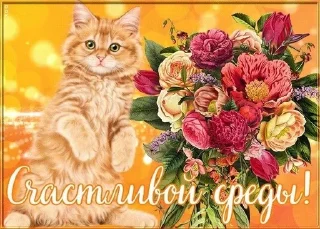 💐 emoji Дни партийной недели Telegram sticker 19 of 41