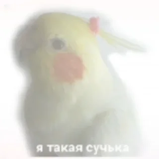 🤩 emoji Любовь не как в сёдзё Telegram sticker 22 of 69