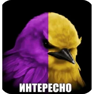 👍 emoji Разноцветные птички с подозрением Telegram sticker 13 of 120