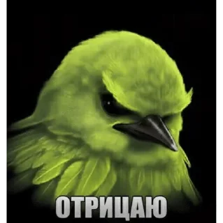 🌟 emoji у меня тоже есть птички Telegram sticker 17 of 49