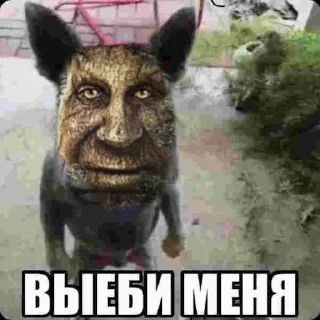 🫡 emoji Лол кек чебурек Telegram sticker 7 of 67