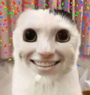 😺 emoji МемныеКоты Telegram sticker 17 of 89