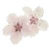 🤩 emoji ㅤㅤ୨ 🐰 ⁝ 𝑅𝖺𝗈𝗆𝖾 pack ⇆ @raomew @TgEmodziBot Telegram sticker 19 of 58