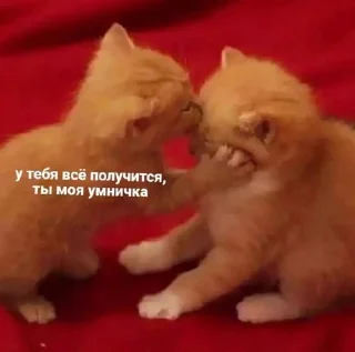😚 emoji плюс вайп Telegram sticker 8 of 17