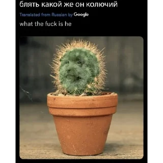 🌵 emoji ЕБУЧИЙ Telegram sticker 19 of 24