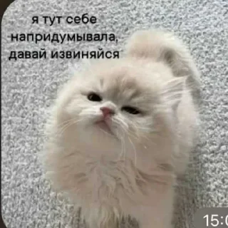 🥹 emoji БОЛЬШЕ ⇨ @CLOOBHUB МЕМЫ ПОКОЙО ПОКОЁ СТИКЕРЫ МГА Telegram sticker 24 of 98