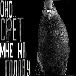 🐓 emoji БОЛЬШЕ ⇨ @CLOOBHUB МЕМЫ MEMES TG ТГ ТРАНСФОРМЕРЫ Telegram sticker 17 of 82