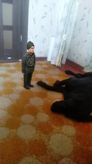 🇺🇦 emoji ванёчек 🤯 Telegram sticker 6 of 32
