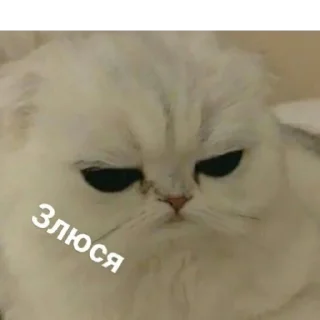 😐 emoji Можлочок Потiк Telegram sticker 12 of 35