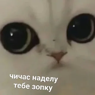 😐 emoji Можлочок Потiк Telegram sticker 19 of 35