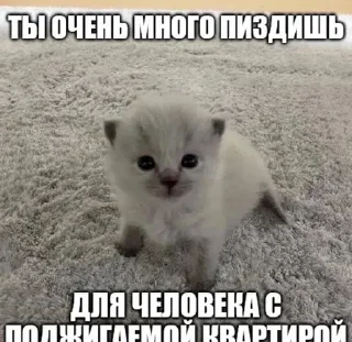 ❤️‍🔥 emoji Пиздец... Telegram sticker 12 of 30