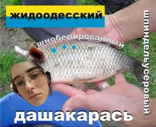 🐟 emoji Гобелен VI Telegram sticker 23 of 89