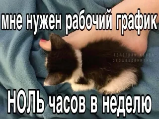 🌟 emoji рабочий вайб Telegram sticker 6 of 51