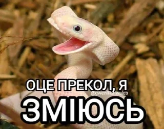 😆 emoji меми від @gwenllianwales Telegram sticker 11 of 96