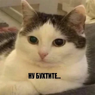 😼 emoji Булка хлеба 👉 @TopStickerTop Telegram sticker 21 of 87