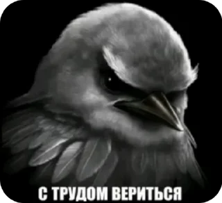 🚬 emoji птицы сомнения Telegram sticker 21 of 104