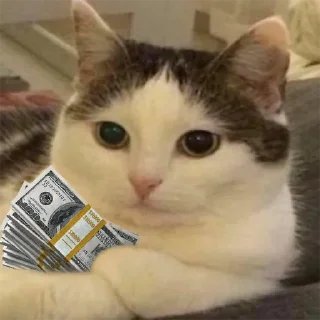 😼 emoji Булка хлеба 👉 @TopStickerTop Telegram sticker 13 of 87