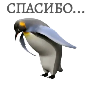 🤨 emoji Мемы на все случаи жизни @Cactus_Information Telegram sticker 7 of 52