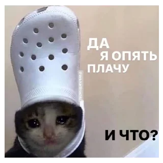 😭 emoji *Мемы на все случаи жизни* Telegram sticker 15 of 42