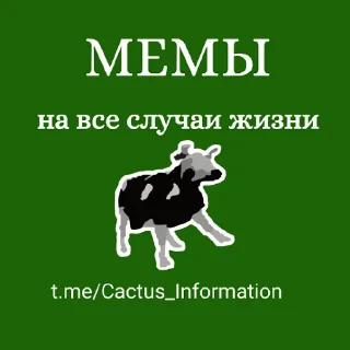 Sticker from Мемы на все случаи жизни @Cactus_Information