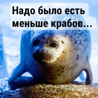 🤩 emoji Стики на все случаи жизни Telegram sticker 6 of 39