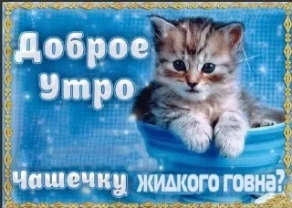 Sticker from Открытки на все случаи жизни