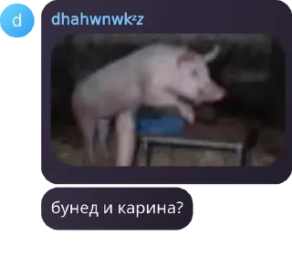 🐷 emoji котята и какие-то уебаны Telegram sticker 22 of 39