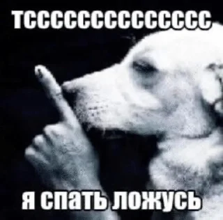🤫 emoji крутое мыло для белья Telegram sticker 19 of 104