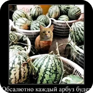 👍 emoji Емайо стикер пак @Herlleycik и @Emae911 Telegram sticker 12 of 23