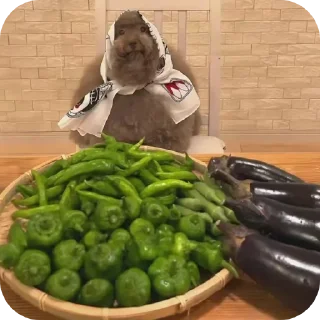 🍲 emoji Крутой стикер пак Telegram sticker 6 of 87