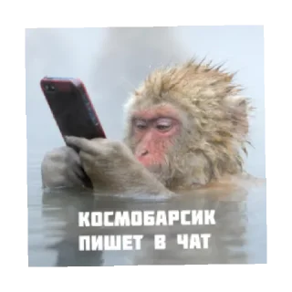 📱 emoji Космобарсик монке Telegram sticker 17 of 22