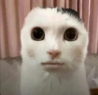 😐 emoji ВП Telegram sticker 18 of 117