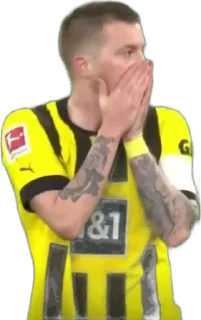 🌟 emoji thesamebvb | Та Самая Боруссия Telegram sticker 15 of 63