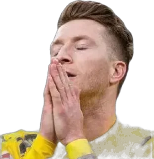 🌟 emoji thesamebvb | Та Самая Боруссия Telegram sticker 21 of 63
