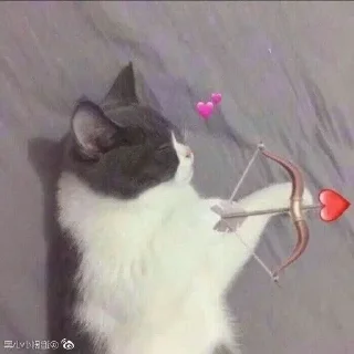💘 emoji Всьо так па дамашнєму Telegram sticker 14 of 64