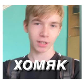Sticker from несем тортик, а вы?