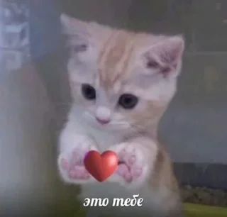 🧡 emoji трахать. Telegram sticker 18 of 104